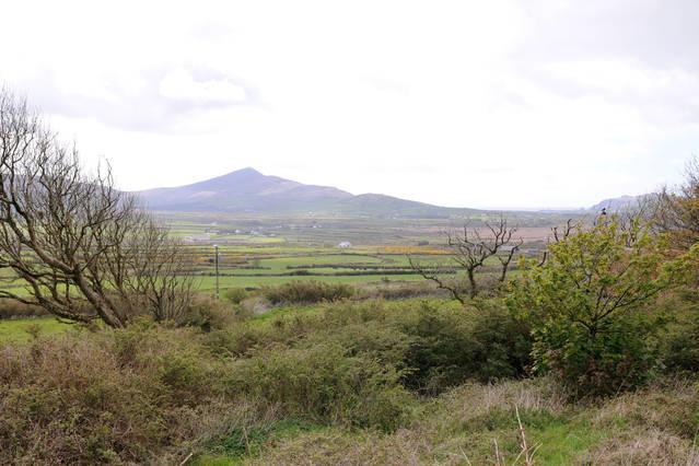 Griffins Holiday Cottage Dingle Luaran gambar